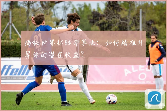 揭秘世界杯赔率算法:如何精准计算你的潜在收益?