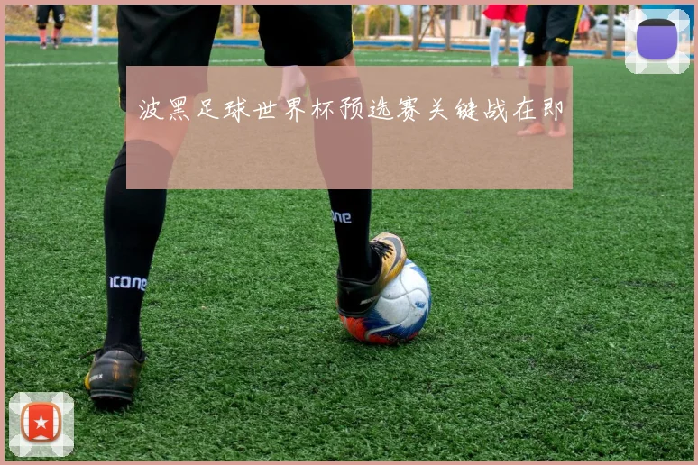 波黑足球世界杯预选赛关键战在即