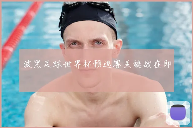 波黑足球世界杯预选赛关键战在即