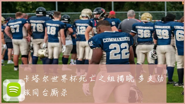 卡塔尔世界杯死亡之组揭晓 多支劲旅同台厮杀