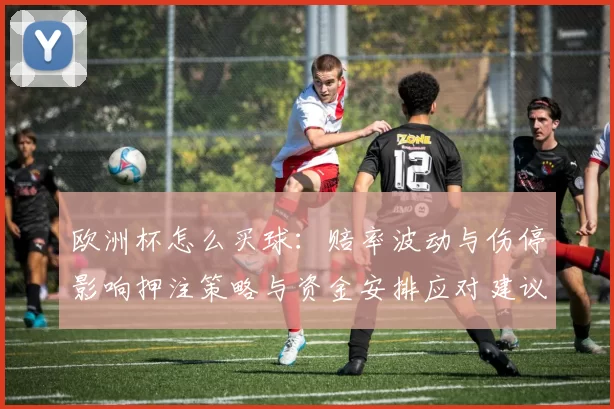 欧洲杯怎么买球：赔率波动与伤停影响押注策略与资金安排应对建议