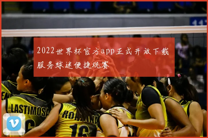 2022世界杯官方app正式开放下载 服务球迷便捷观赛