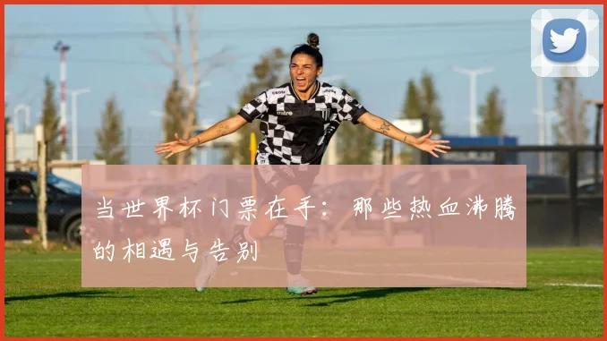 当世界杯门票在手:那些热血沸腾的相遇与告别