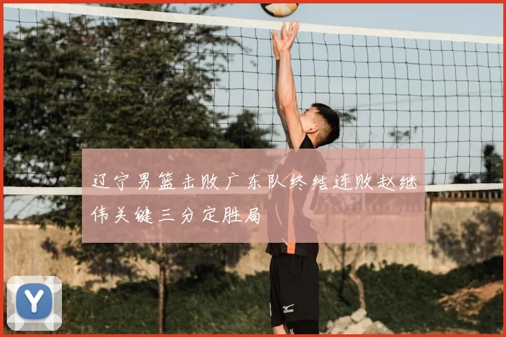 辽宁男篮击败广东队终结连败赵继伟关键三分定胜局